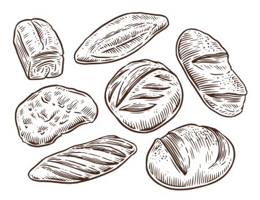 Ekmek, ekmek, baget. Beyaz arkaplanda el çizimi yiyecek elementleri izole