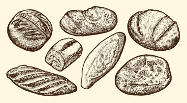 Fırın ürünleri. Çavdar, buğday ve tam tahıllı ekmek. Eskiz klasik vektör çizimi