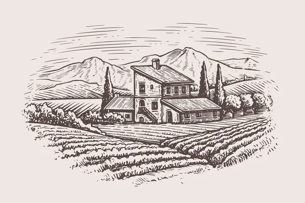 Rural Countryside Landscape Farm House Vineyard Vector Illustration Landscape Nature — Stock vektor