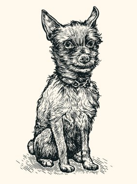 Küçük köpek skeci. El yapımı evcil hayvan, köpek vektörü illüstrasyonu