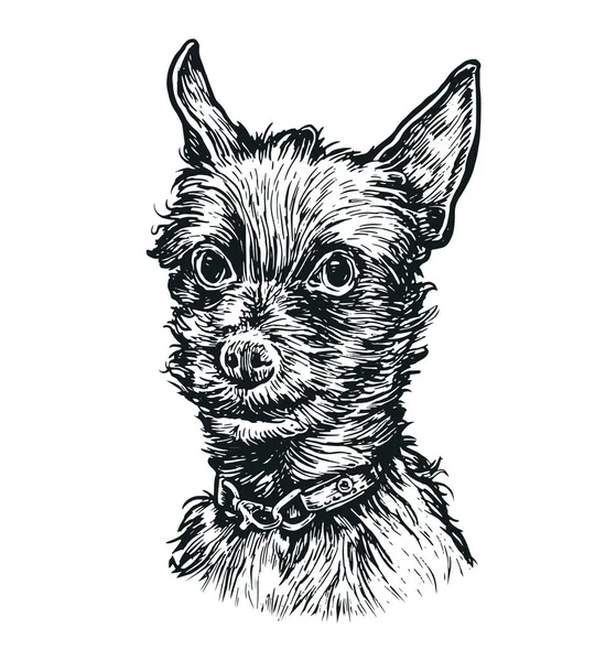 Little Dog Hand Drawn Vector Illustration Terrier Cute Puppy Sketch — ストックベクタ