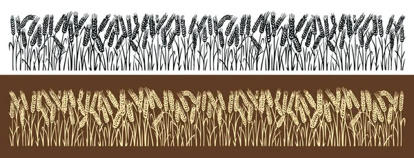 Campo Trigo Espigas Trigo Antecedentes Granja Panadería Dibujo Dibujado Mano — Archivo Imágenes Vectoriales