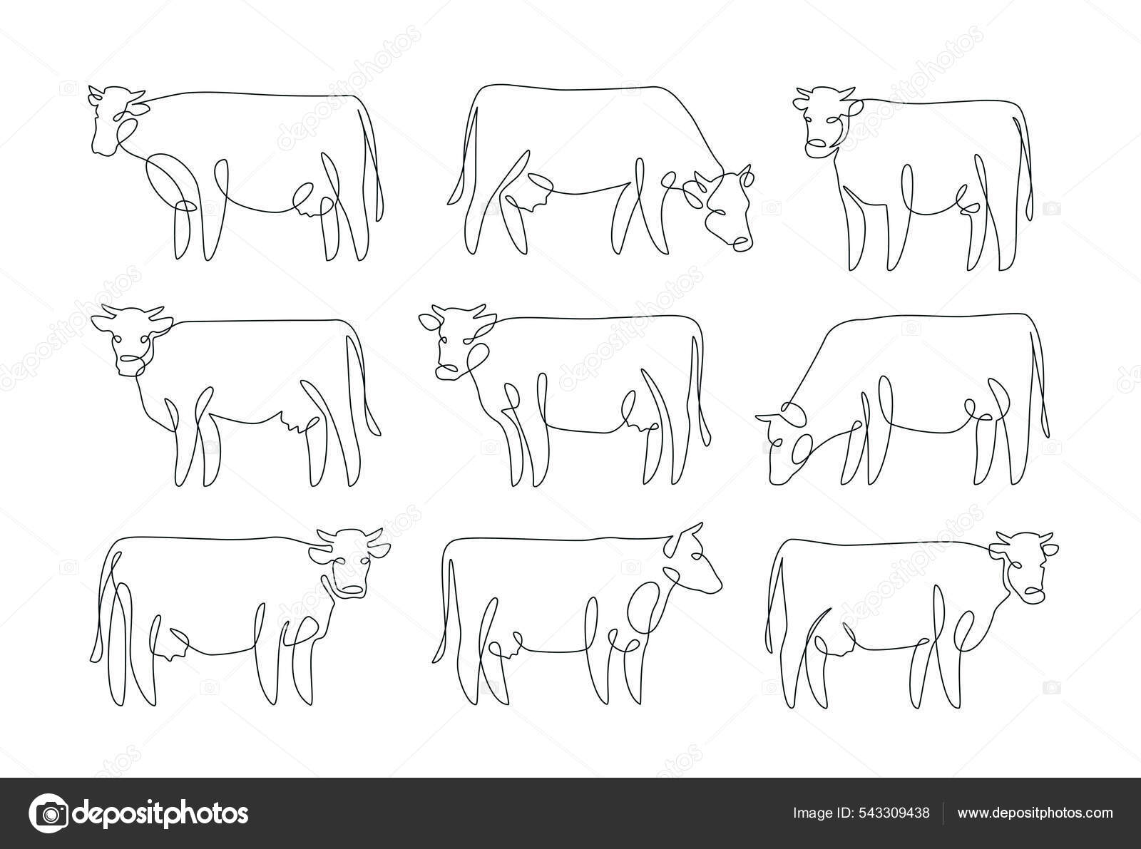 牛的一组连续的单线绘图排成行的家畜图库矢量图©sergeypykhonin 543309438, image size:1600x1191