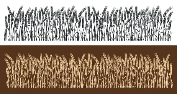 Ähren Aus Weizen Horizontale Nahtlose Muster Skizzenvektorillustration — Stockvektor