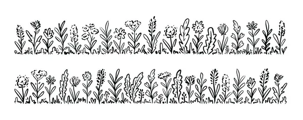Herbes Des Prés Sauvages Croquis Des Fleurs Sauvages Plantes Base — Image vectorielle