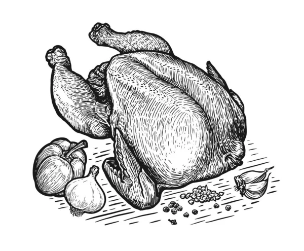 닭고기 칠면조 재료를 넣었습니다 브로일러 매개체 정육점이나 농산물을 빈티지 스케치 — 스톡 벡터