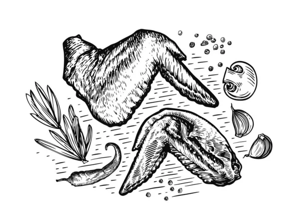 Deliciosas Alas Pollo Estilo Sketch Alimentos Parrilla Barbacoa Vector Carne — Archivo Imágenes Vectoriales