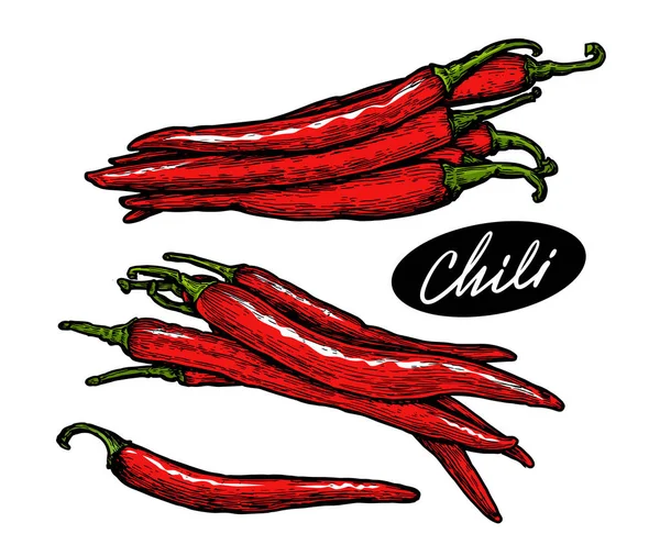 Röd Chilipeppar Med Gröna Stjälkar Kryddor Livsmedel Vektor Illustration — Stock vektor