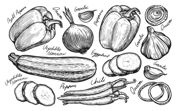 Fresh Vegetables Set Sketch Farm Food Hand Drawn Vector Illustration — Stock Vector