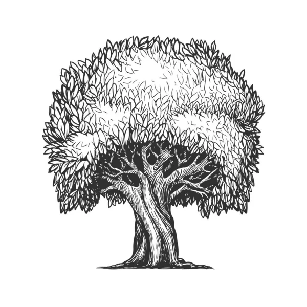 Großer Baum Mit Skizzenhaft Gezeichneten Blättern Naturvektorillustration — Stockvektor