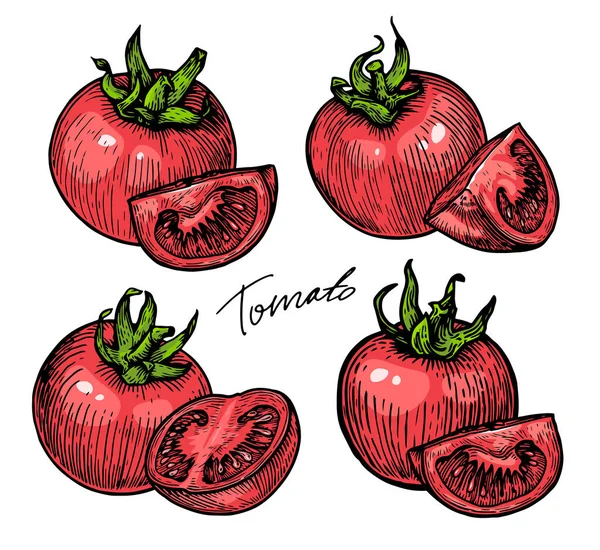 Ganze Tomaten Und Scheiben Schneiden Gemüse Organische Farbige Vektorillustration — Stockvektor