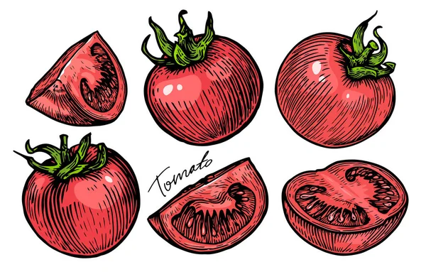 Conjunto Rojo Tomate Entero Rodajas Verduras Ecológicas Granja Alimentación Vector — Vector de stock