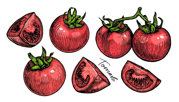 Pomodoro Intero Rosso Fetta Verdure Fattoria Biologiche Illustrazione Del Vettore — Vettoriale Stock