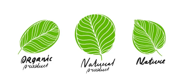 Set Bladeren Kruiden Logo Symbool Van Landbouw Gezond Product Biologische — Stockvector