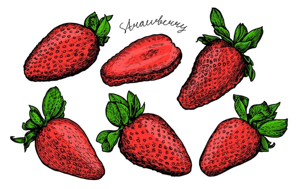Sweet Fresh Strawberry Set Red Berry Food Vector Illustration — Stock Vector