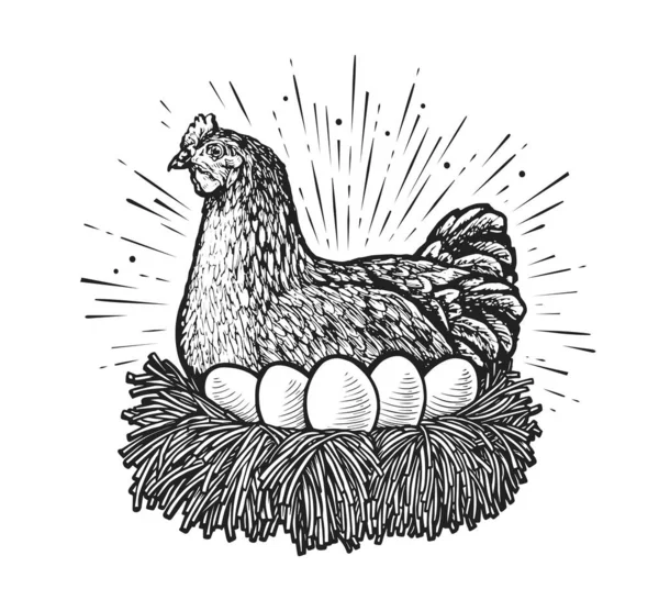巣のスケッチのベクトルに置く ヴィンテージ彫刻風に描かれたファームチキンと卵 — ストックベクタ
