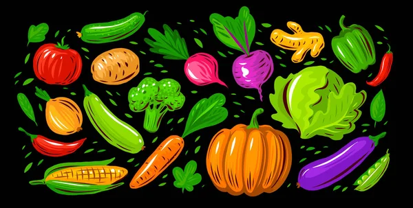 Organic Farm Food Set Vector Illustration Fresh Vegetables Root Crops — Stock Vector