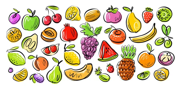 Fruits Berries Set Drawn Doodle Style Organic Farm Food Vector — Stock Vector