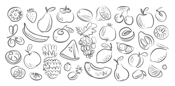 Fruits Baies Dessinés Main Gribouillis Collection Style Croquis Aliments Biologiques — Image vectorielle