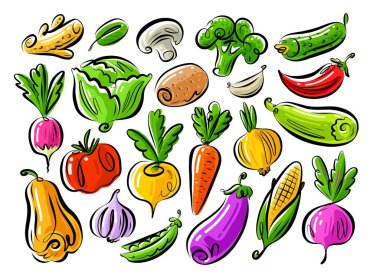 Sebzeler beyaz arka planda izole edilmiş. Çiftlik organik gıda vektörü çizimi