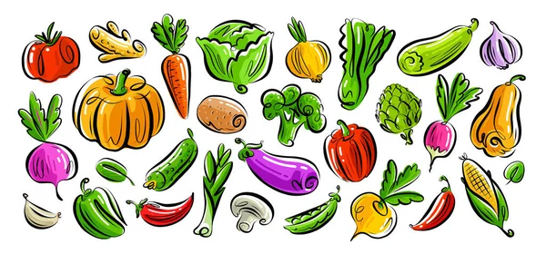 Set Alimenti Biologici Vegetariani Sani Raccolta Verdure Agricole Concetto Vegano — Vettoriale Stock