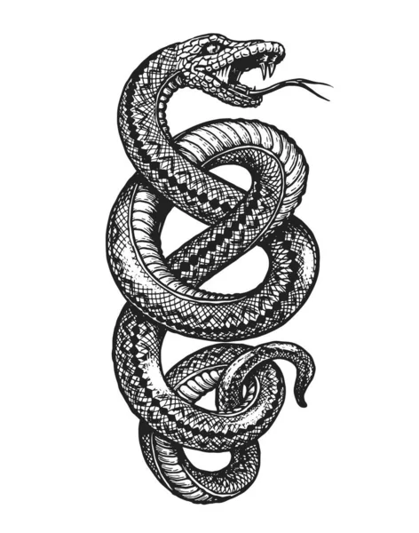 Coiled Snake Sketch Hand Drawn Vintage Vector Illustration Posters Tattoo — Stock Vector