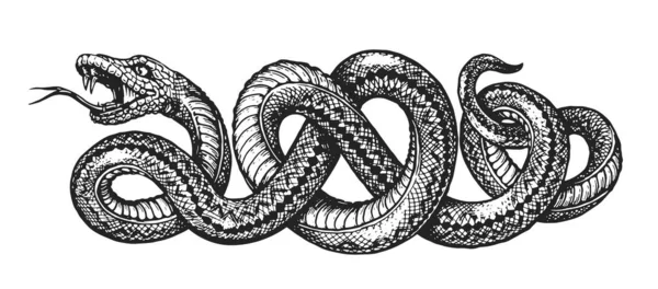 Vecteur Croquis Serpent Tatouage Dessin Main Isolé Sur Fond Blanc — Image vectorielle