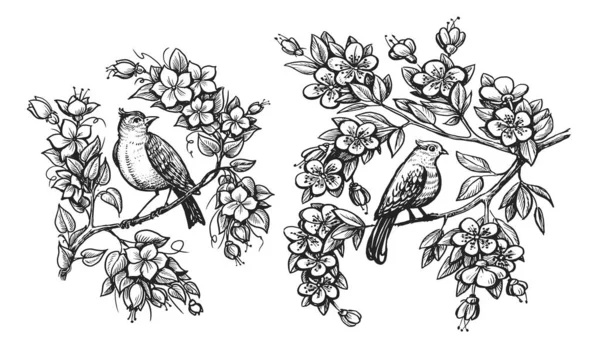 手在树枝上画鸟 夜莺和古色古香的花朵雕刻风格 绘图矢量图解 — 图库矢量图片