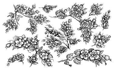 Çiçek dalları elle çizilmiş. Çerçeve tasarımı için zarif çiçek deseni. Dallar, yapraklar ve çiçekli bitkiler. Vintage vektör illüstrasyonu