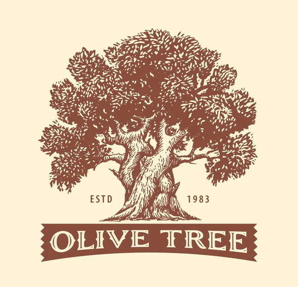 Drzewo Oliwne Element Projektu Dekoracji Oliwy Oliwek Ręcznie Rysowane Wektor — Wektor stockowy