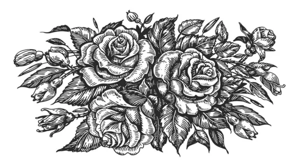 Roses Leaves Buds Sketch Hand Drawn Flowers Vintage Engraving Style — Stockvektor