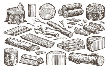 Natural lumber, timber, woodworking set. Carpentry materials, wood. Tree stump, logs, plank, billet vector sketch
