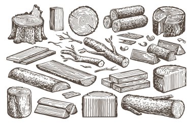 Natural lumber, timber, woodworking set. Carpentry materials, wood. Tree stump, logs, plank, billet vector sketch clipart