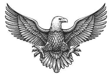 Eagle with spread wings. Royal symbol hand drawn sketch in vintage engraving style. Vector illustration clipart