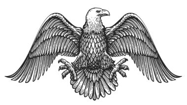Bald Eagle with spread wings. Hand drawn sketch bird illustration in vintage engraving style. Royal emblem clipart