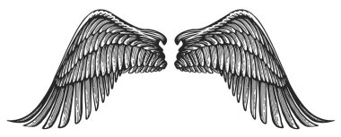 Klasik oyma tarzında bir çift melek kanadı. El çizimi hanedan kuşu kanat çizimi