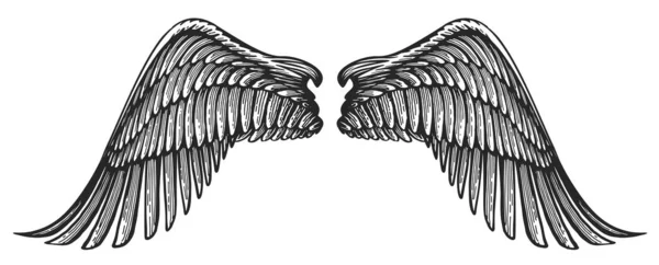 天使双翼仿古雕刻风格 手绘纹章鸟翼矢量图解 — 图库矢量图片