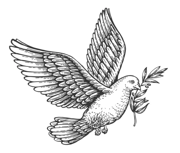 Fliegende Friedenstaube Mit Olivenzweig Symbolskizze Für Spirituelle Reinheit Vektor Illustration — Stockvektor