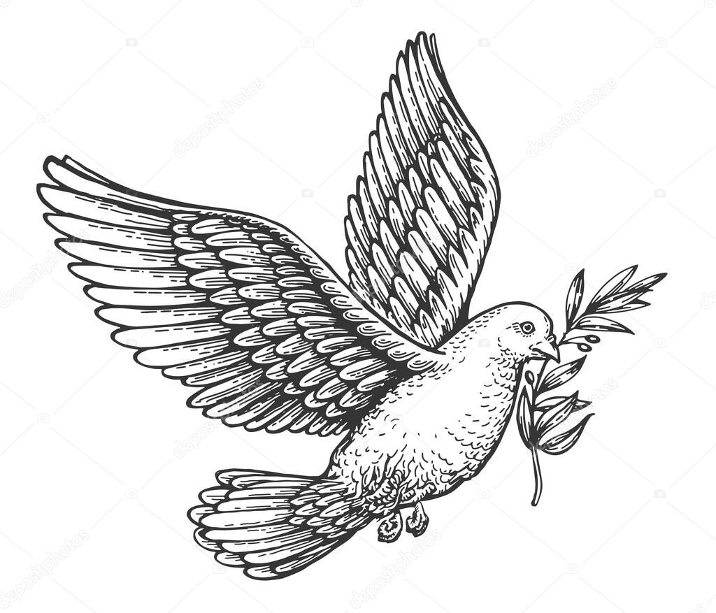Vettoriale stockTortora Pace Volante Con Ramo D'ulivo Schizzo Simbolo  Purezza Spirituale di ©sergeypykhonin #610487154, image size:1024x877
