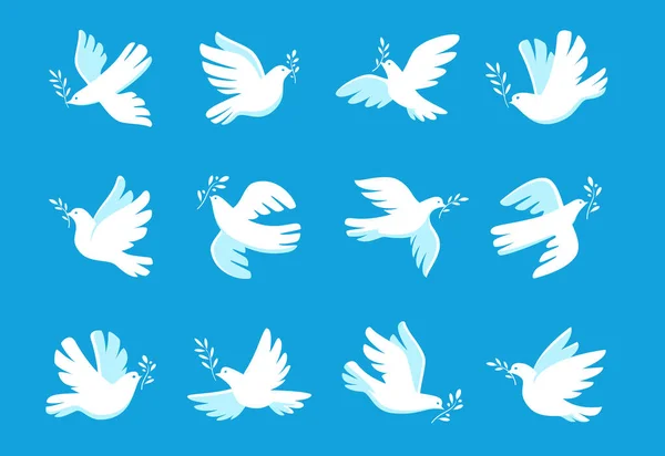 Zeytin Dalı Sembollü Beyaz Güvercin Kuş Dal Barış Özgürlüğün Sembolü — Stok Vektör