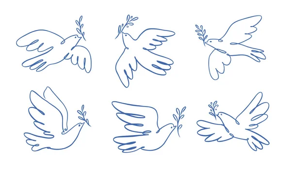 和平鸽子用橄榄枝象征 鸟类象征着和平与自由 具有简单的线性风格 Doodle矢量说明 — 图库矢量图片