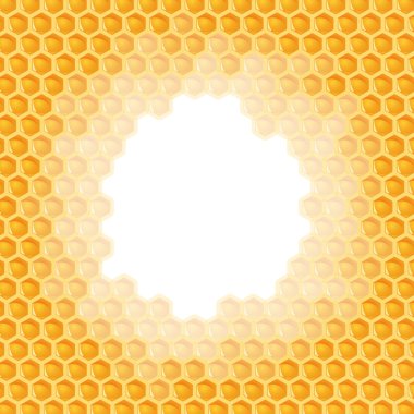 Petek arka - orta delik