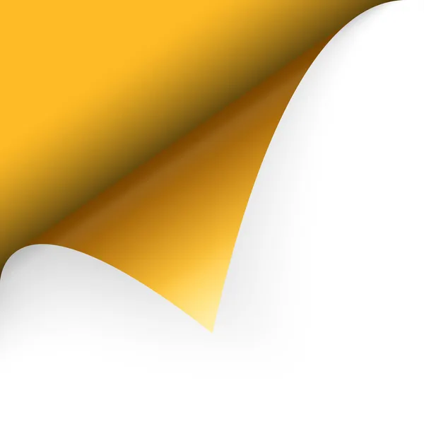 Paper upper left corner — Stock Vector © opicobello 58086291