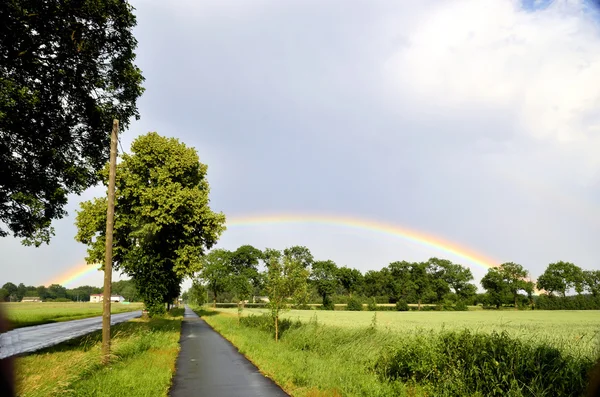 Rainbow over de kronen van de bomen naast het fietspad — Stockfoto