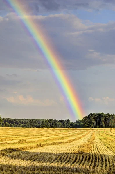Rainbow over the stubble — Stock Photo, Image