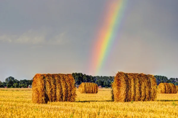 Regenboog boven de stoppels — Stockfoto