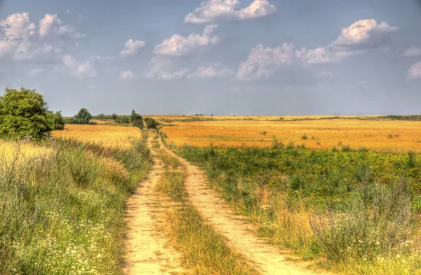 Landelijke weg door de velden — Stockfoto