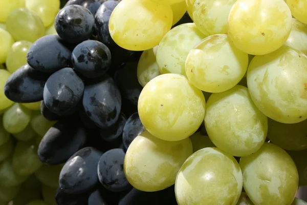 Grandes raisins mûrs frais — Photo