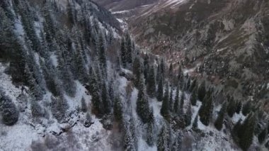 Dağlar ve kardan sonraki köknar manzarası, Kış güzelliği büyüleyici gözler ve kış