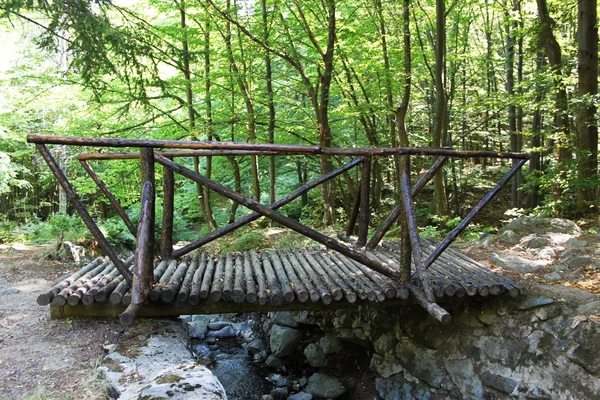 Holzbrücke — Stockfoto